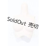 画像: DDS/DDS-B-01 上半身パーツ-M胸:フレッシュ S-26-03-08-091-SK-ZS