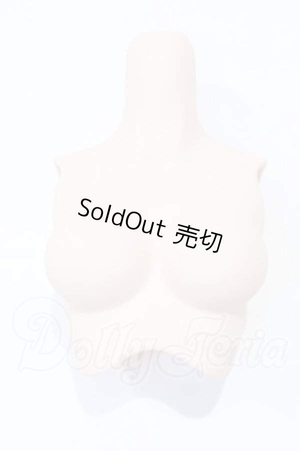 画像1: DDS/DDS-B-01 上半身パーツ-M胸:フレッシュ S-26-03-08-091-SK-ZS (1)