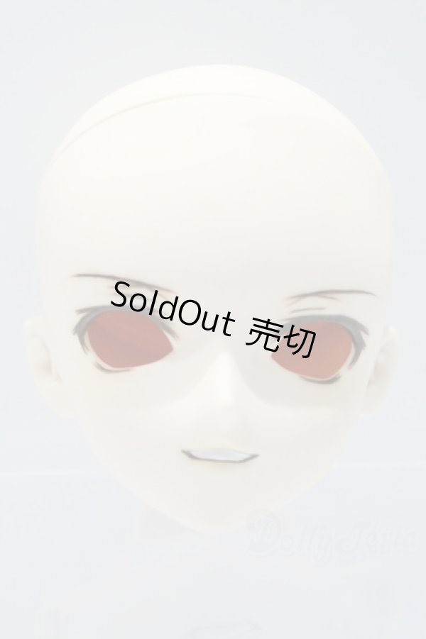 画像1: DD/DDH-05/カスタムヘッド S-25-10-05-007-SK-ZS (1)