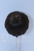 画像2: 6-7inch/ウィッグ S-26-06-21-041-SK-ZS (2)