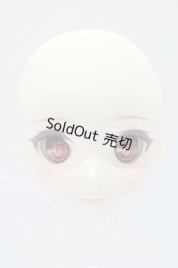 画像1: DD/月姫:アルクェイド・ブリュンスタッド　ヘッド S-25-10-05-043-SK-ZS (1)