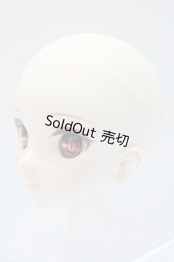 画像2: DD/月姫:アルクェイド・ブリュンスタッド　ヘッド S-25-10-05-043-SK-ZS (2)