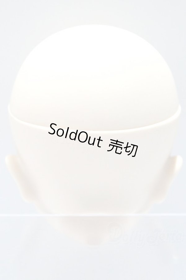 画像4: DD/月姫:アルクェイド・ブリュンスタッド　ヘッド S-25-10-05-043-SK-ZS (4)