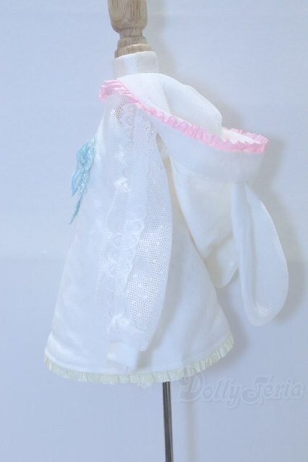 画像2: MDD/OF:shirousalon様製　衣装 S-26-01-18-025-SK-ZS (2)