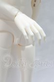 画像9: RSDOLL/New EVAN White Cat ver. Limited body S-26-05-03-051-YB-ZS (9)