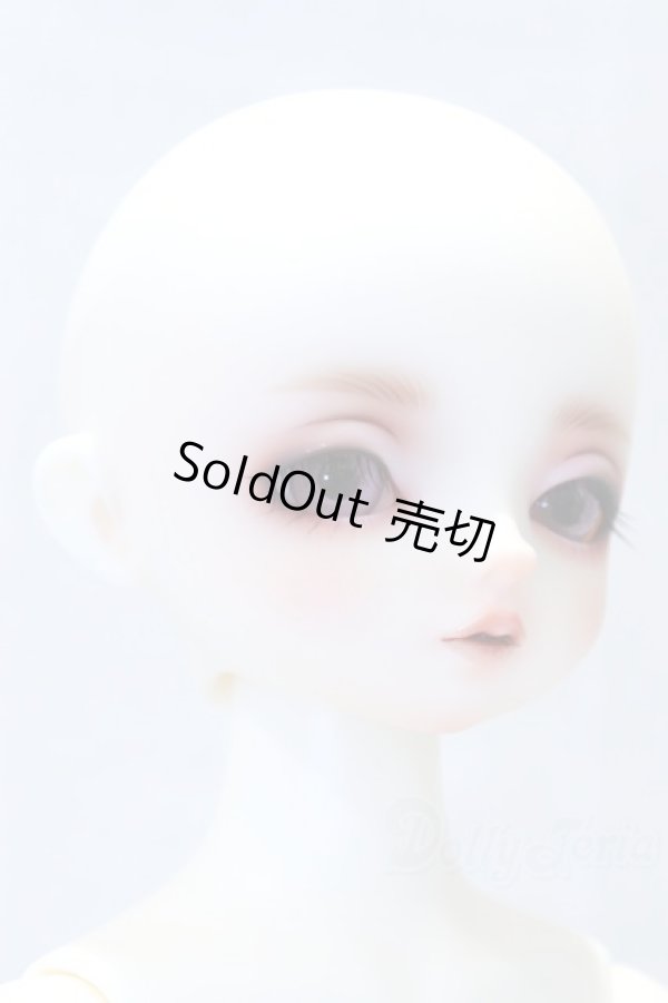 画像3: SDMGIRL/フルチョイス:F-80 S-26-02-01-003-YB-ZS (3)