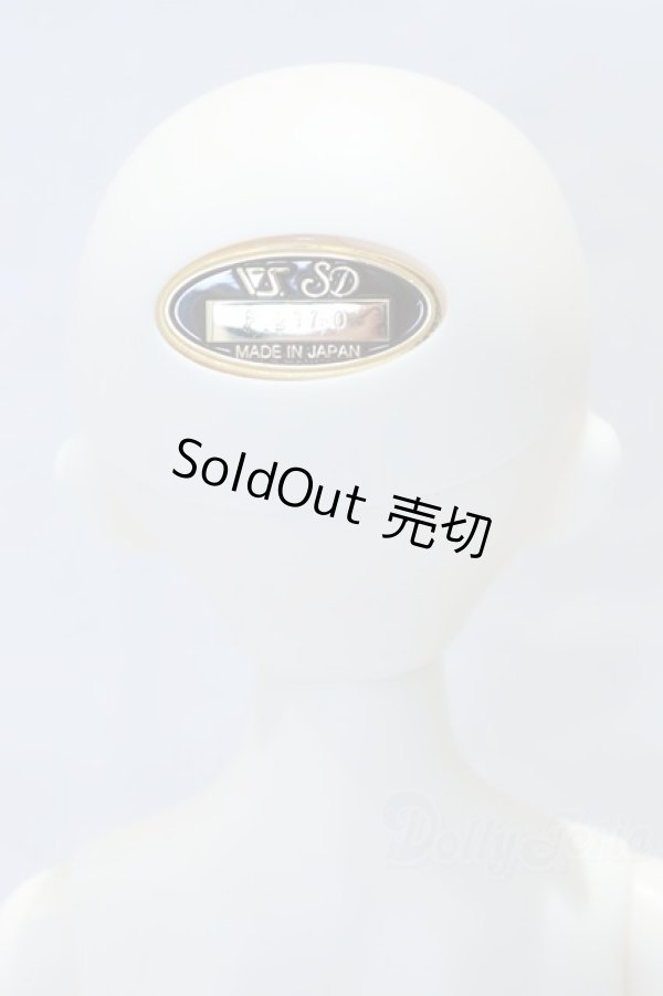 画像4: SDMGIRL/フルチョイス:F-80 S-26-02-01-003-YB-ZS (4)