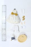 画像2: Harmonia bloom/Optional Parts Set L The Golden Afternoon S-26-06-07-059-SK-ZS (2)