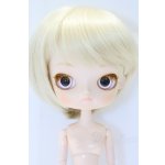 画像: ダル/カスタム S-26-02-08-018-SK-ZS