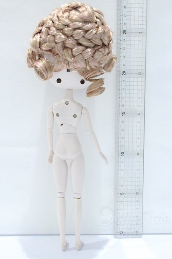 画像5: ダル/シャルロッテ S-25-10-26-003-SK-ZS (5)