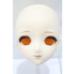 画像: DD/DDH-09 金魚様カスタム S-25-10-26-001-SK-ZS