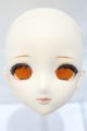 画像: DD/DDH-09 金魚様カスタム S-25-10-26-001-SK-ZS