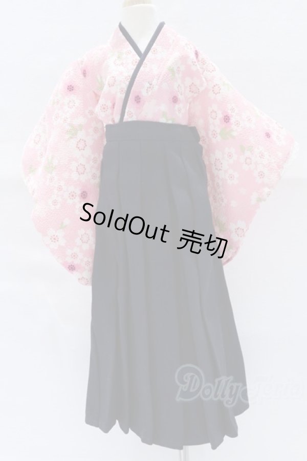 画像1: MDD/OF:袴衣装 S-26-01-25-095-SK-ZS (1)