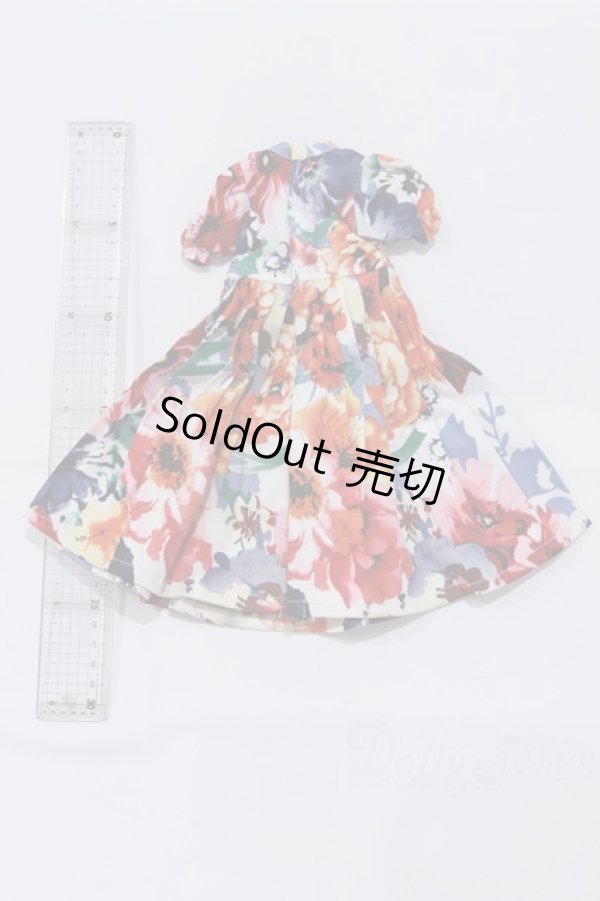 画像2: SDM＆MSD/OF:ワンピース S-26-02-08-073-SK-ZS (2)