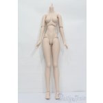 画像: DD/DDベースボディ2.0(DD-f3) M胸 S-25-11-09-073-SK-ZS