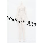 画像: DD/DDベースボディ2.0(DD-f3) M胸 S-26-01-04-464-SK-ZS