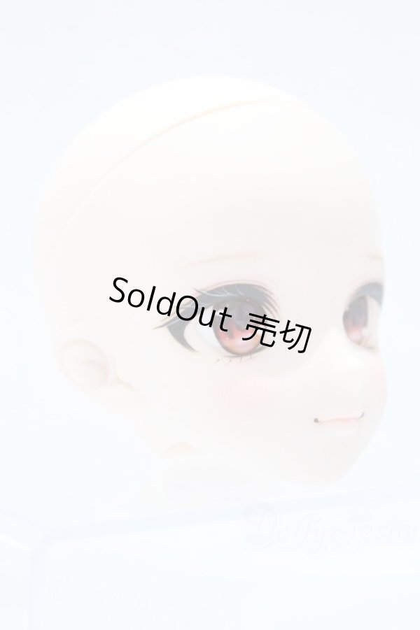 画像3: DD/DDH-09 Melty Stella様カスタム S-25-11-02-006-SK-ZS (3)