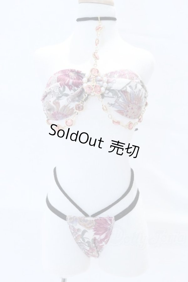 画像1: DD/OF:RoseLapin様製 下着・アクセサリーセット S-26-01-04-085-SK-ZS (1)