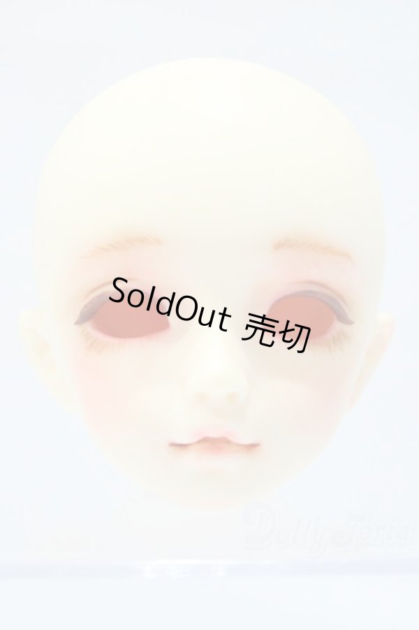 画像1: SDM/F-20 ヘッド S-25-11-02-008-SK-ZS (1)