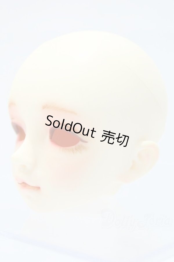 画像2: SDM/F-20 ヘッド S-25-11-02-008-SK-ZS (2)