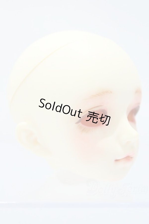 画像3: SDM/F-20 ヘッド S-25-11-02-008-SK-ZS (3)