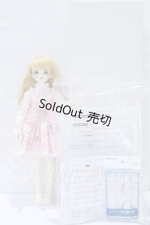 画像6: SDM/フルチョイス F-44 S-26-04-05-003-YB-ZS (6)