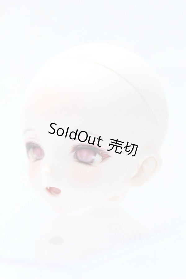 画像2: DD/DDH-10 ツキノメルト様カスタム S-25-11-16-001-SK-ZS (2)