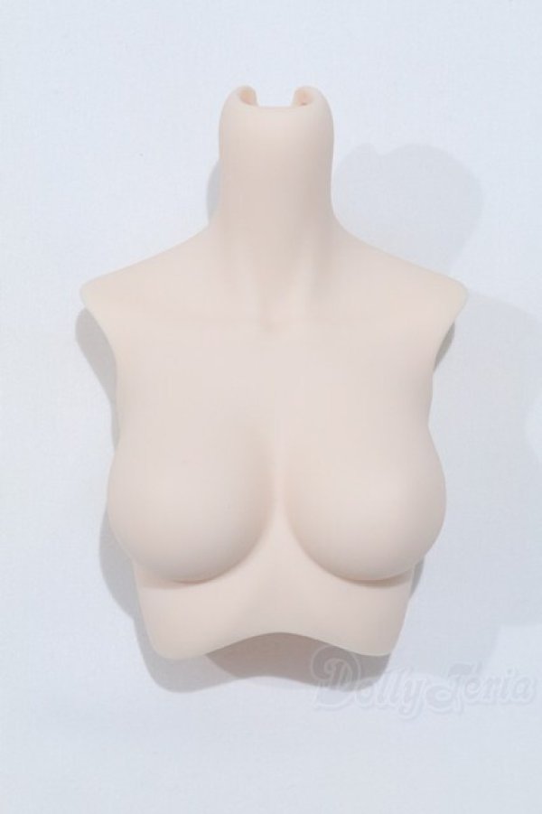 画像1: DD/上半身パーツ S-25-12-21-013-SK-ZS (1)