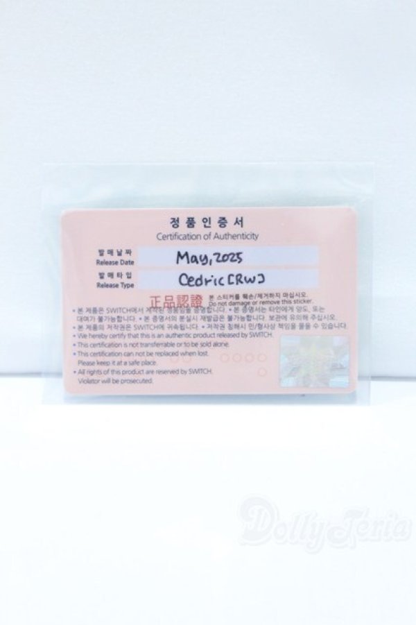 画像5: SWITCH/Cedric ノーメイクヘッド S-25-11-16-005-YB-ZS (5)