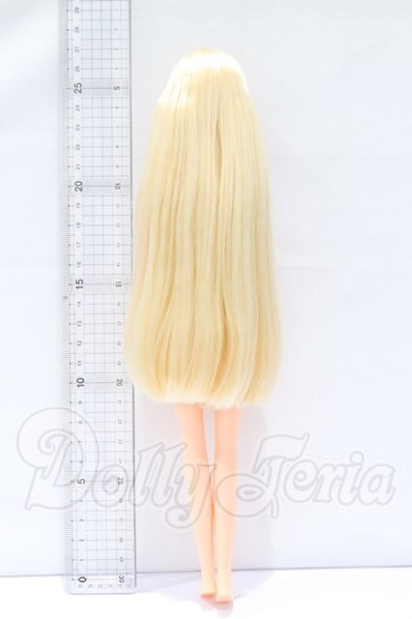 画像5: リカちゃんキャッスル/ジュディ 2022年11月月間ドール S-26-04-19-064-YB-ZS (5)