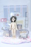 画像6: ROSENLIED/Tuesday's Child Limited Poppy - English Garden S-26-05-10-002-SK-ZS (6)