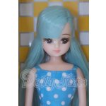 画像: リカちゃん/2022年 小野町ふるさと納税 返礼品 Aタイプ S-26-03-08-052-SK-ZS