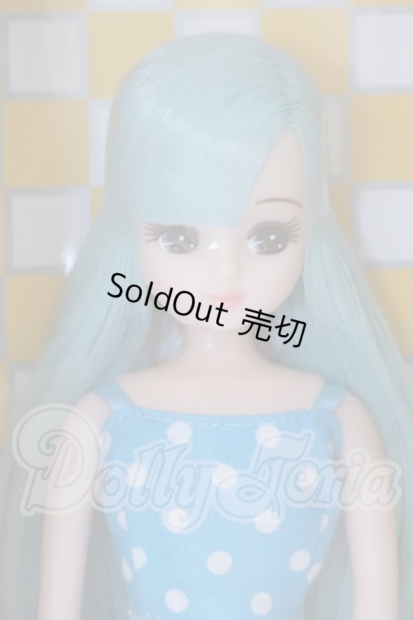 画像1: リカちゃん/2022年 小野町ふるさと納税 返礼品 Aタイプ S-26-03-08-052-SK-ZS (1)