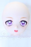 画像1: DD/DDH-01 うぱたろー様カスタム S-26-05-03-058-SK-ZS (1)