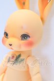 画像2: cocoriang/DOLK×COCORIANG Tobi Dearman cookies S-26-06-28-020-YB-ZS (2)