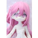 画像: 一万回の脱出計画/キツネ S-26-04-26-457-SK-ZS