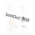 画像: 一万回の脱出計画シリーズ/クラウドファンディング特典 ボディパーツ+衣装セット S-26-08-02-474-SK-ZS