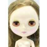 画像: ネオブライス/本体のみ S-25-12-14-025-YB-ZS