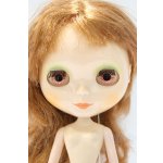 画像: ネオブライス/本体のみ S-25-12-14-023-YB-ZS