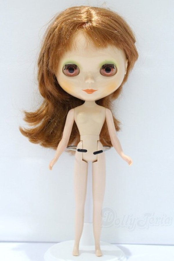 画像5: ネオブライス/本体のみ S-25-12-14-023-YB-ZS (5)