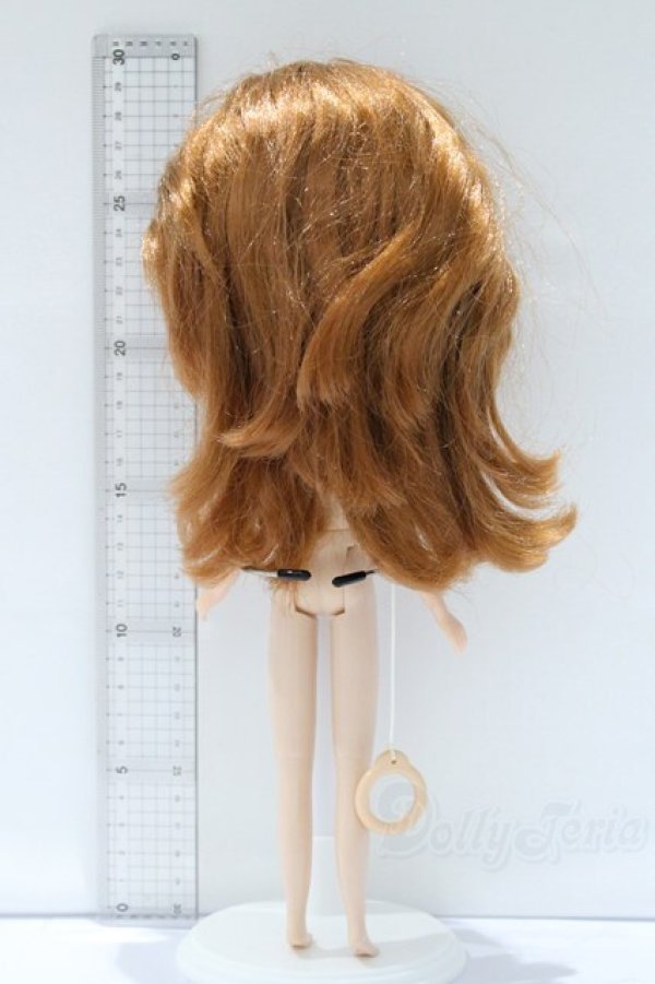 画像6: ネオブライス/本体のみ S-25-12-14-023-YB-ZS (6)