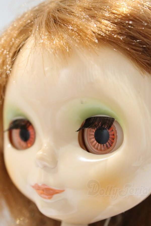 画像7: ネオブライス/本体のみ S-25-12-14-023-YB-ZS (7)