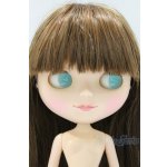 画像: ネオブライス/本体のみ S-25-12-14-021-YB-ZS