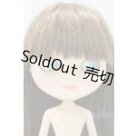 画像: ネオブライス/本体のみ S-25-12-14-021-YB-ZS