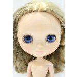 画像: ネオブライス/本体のみ S-25-12-14-019-YB-ZS