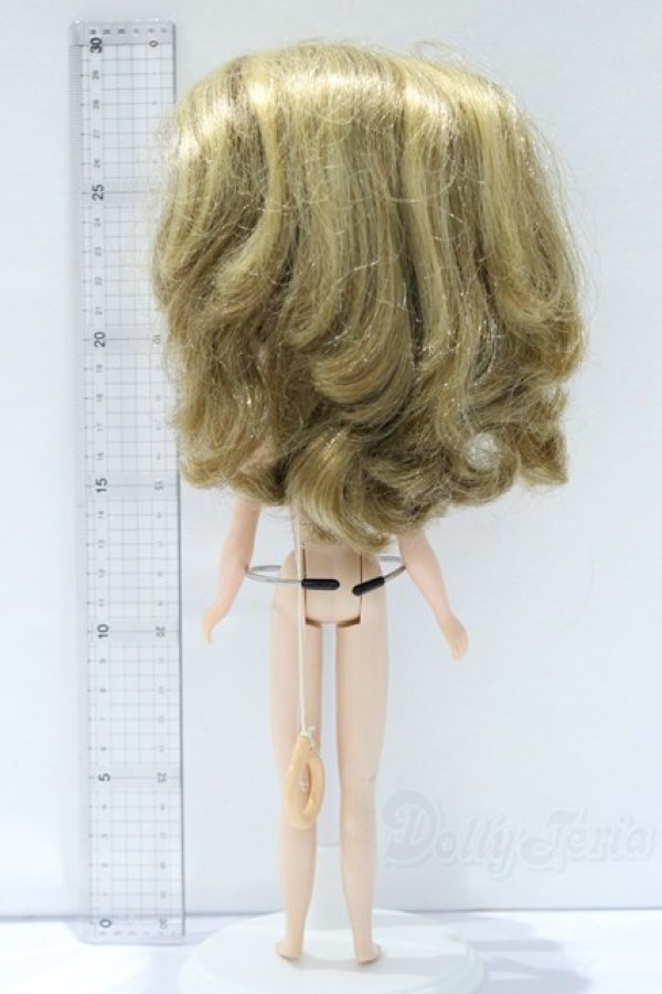 画像7: ネオブライス/本体のみ S-25-12-14-019-YB-ZS (7)