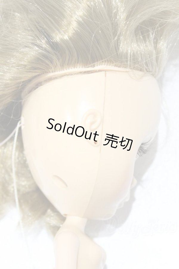 画像8: ネオブライス/本体のみ S-26-02-15-393-YB-ZS (8)