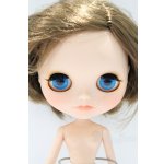 画像: ネオブライス/本体のみ S-25-12-14-016-YB-ZS