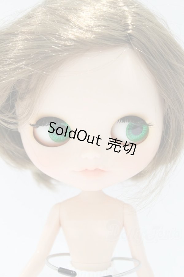 画像4: ネオブライス/本体のみ S-25-12-14-016-YB-ZS (4)