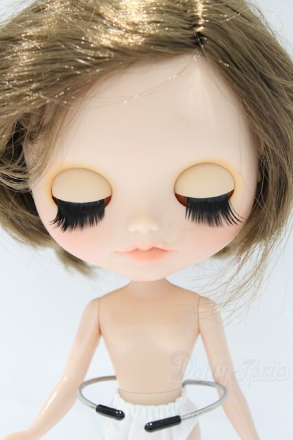 画像5: ネオブライス/本体のみ S-25-12-14-016-YB-ZS (5)